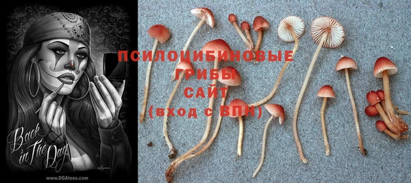 гидра Билибино