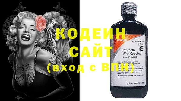 гидра Щигры