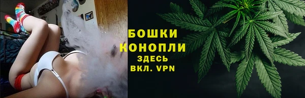 гидра Билибино