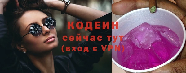 гидра Билибино
