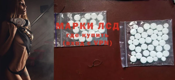 гидра Билибино