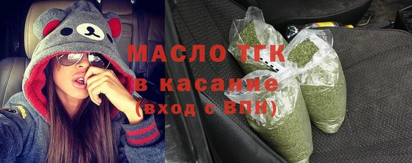 гидра Билибино