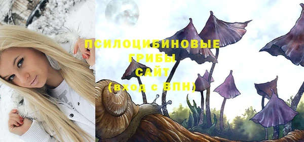 тгк Беслан