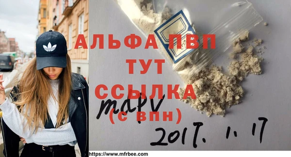 гидра Билибино