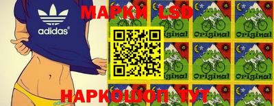 эйфоретик Бузулук