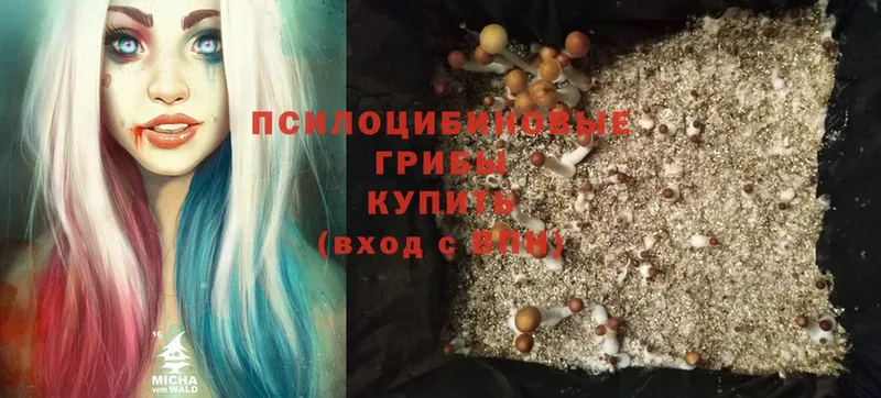 kraken вход  Волоколамск  Галлюциногенные грибы Psilocybe  даркнет сайт 