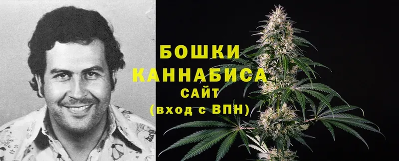 Конопля White Widow  Волоколамск 